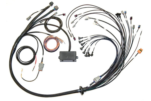 Haltech Ford Coyote 5.0 Elite 2500 Terminated Harness w/OE Injectors/Late Style Cam Solenoid Haltech Ford Coyote 5.0 Elite 2500 Terminated Harness w/OE Injectors/Late Style Cam Solenoid