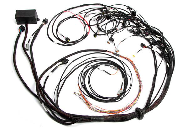 Haltech Ford Falcon FG Barra 4.0 Elite 2500 Terminated Harness w/OE EV1 Injector Connectors Haltech Ford Falcon FG Barra 4.0 Elite 2500 Terminated Harness w/OE EV1 Injector Connectors