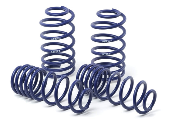 H&R 15-19 Ford Mustang GT Convertible/Mustang GT Fastback V6/V8/2.3 EcoBoost Super Sport Spring